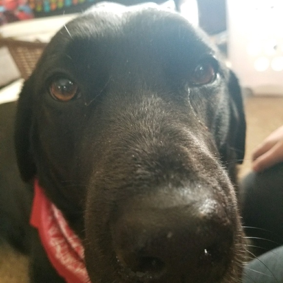 Meet your Posher, Katy - Picture 1 of 1